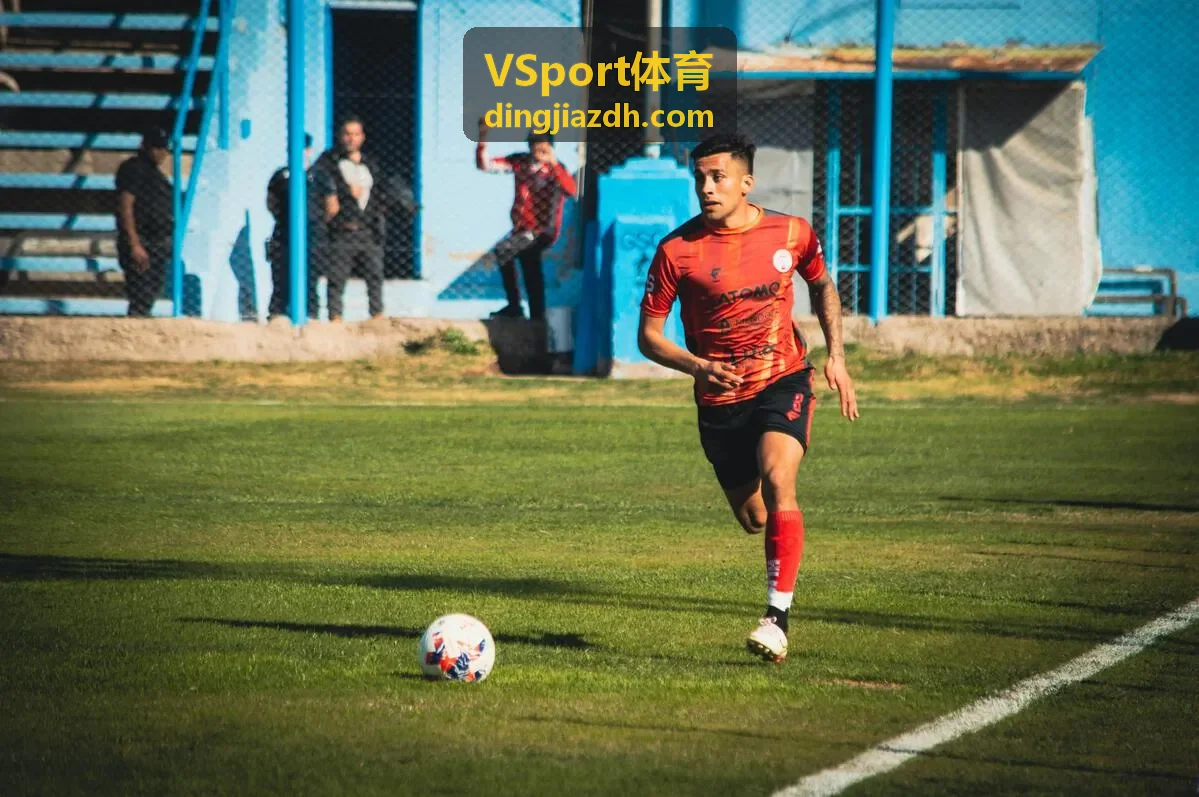 VSport体育体能评估